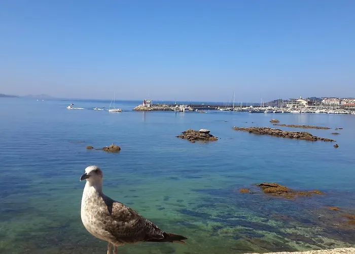 Maison d'hôtes Principe